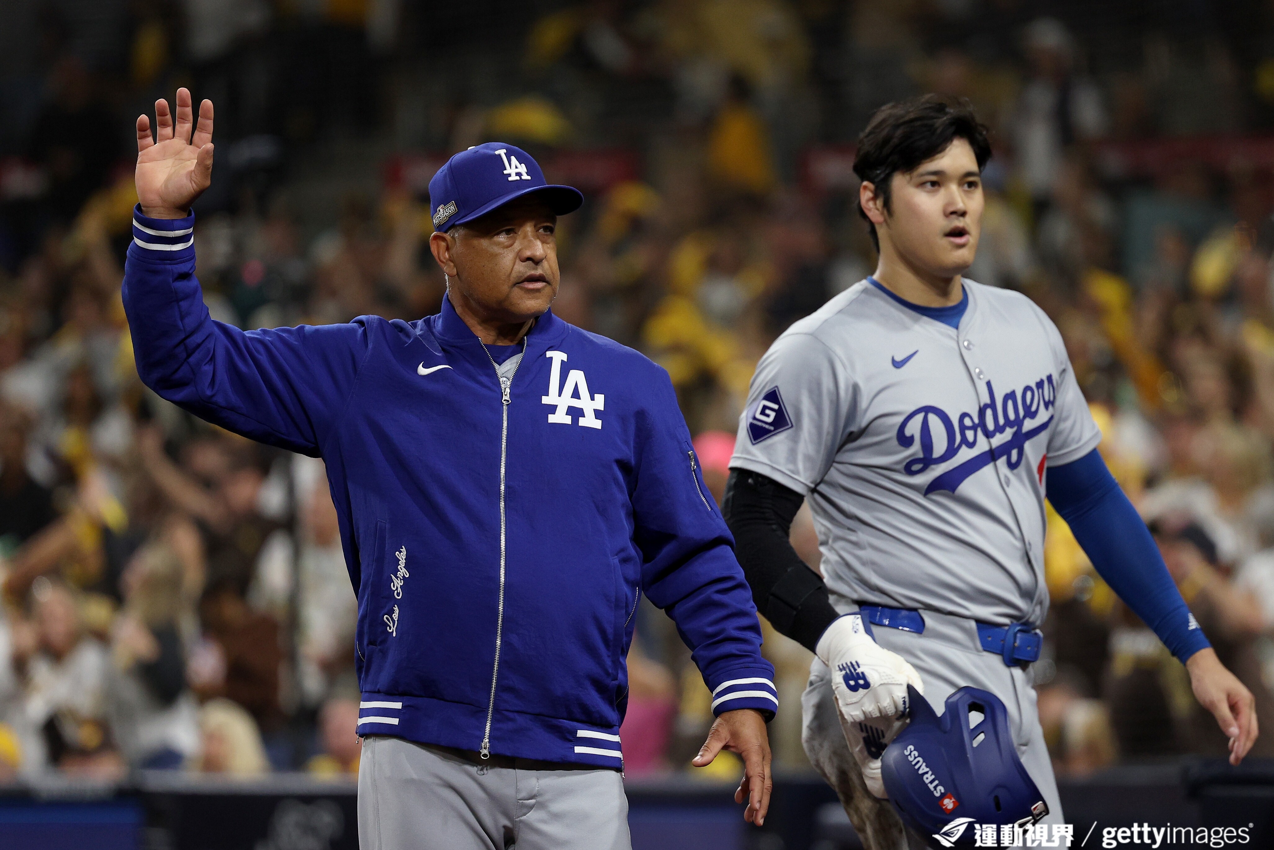 关于球队签下了一名自由球员，希望能提升球队整体实力的信息