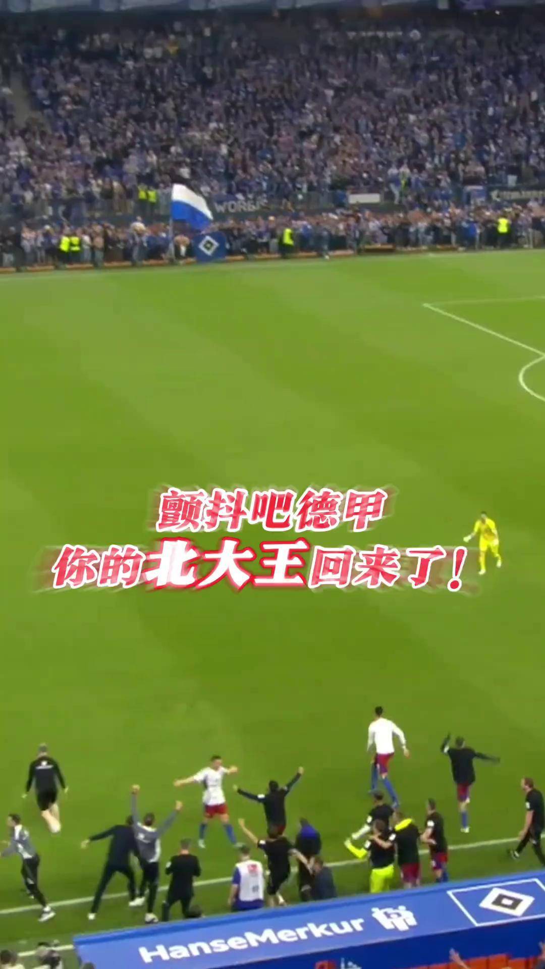汉堡主场获胜，球迷轰动场内的简单介绍