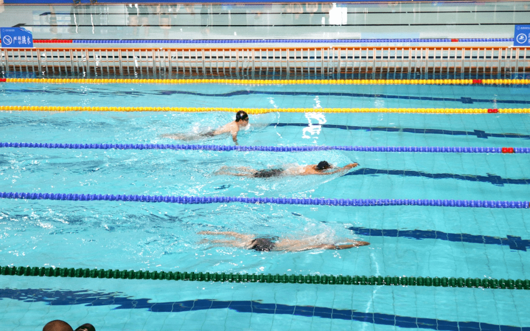 冰岛选手在游泳比赛中创造新的战绩 冰岛选手在游泳比赛中创造新的战绩