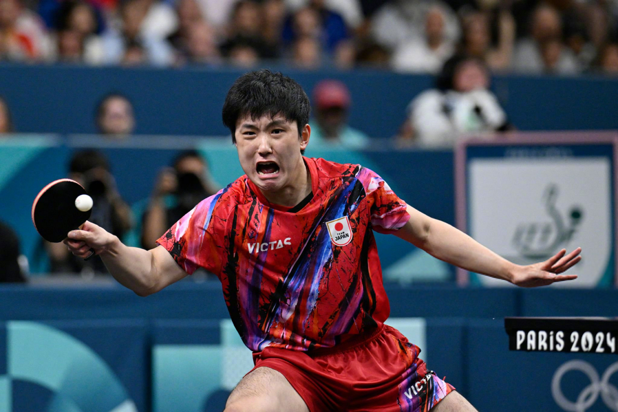 奥地利队横扫葡萄牙队，张本智和点燃赛场