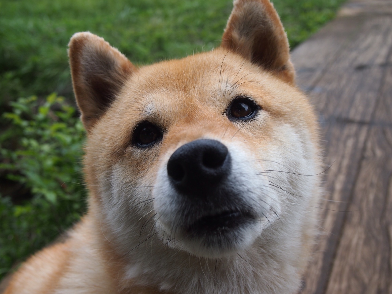 时间褶皱里的抢七,当开拓者遇见上海