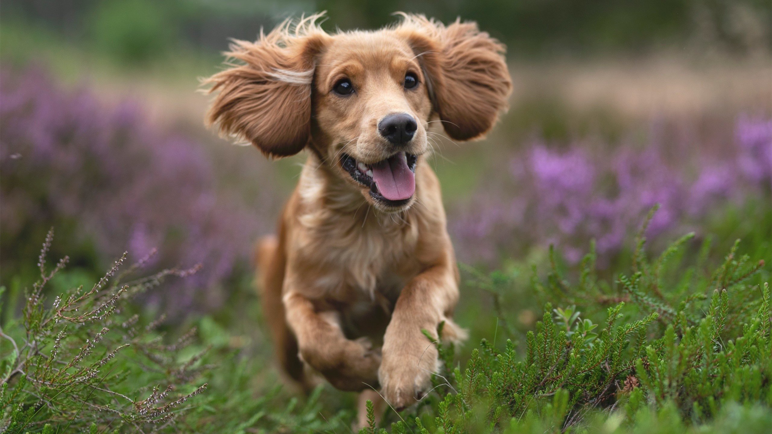 2026世界杯之夜，托尼在霓虹血雨中封神