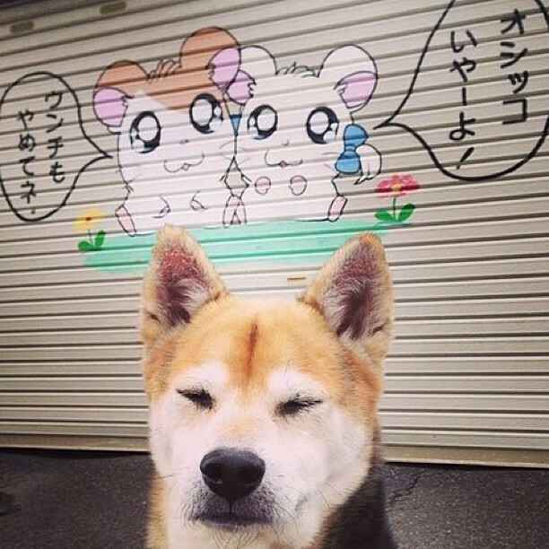 险胜!森林狼力克凯尔特人,拉文狂飙40分进攻端无人能挡