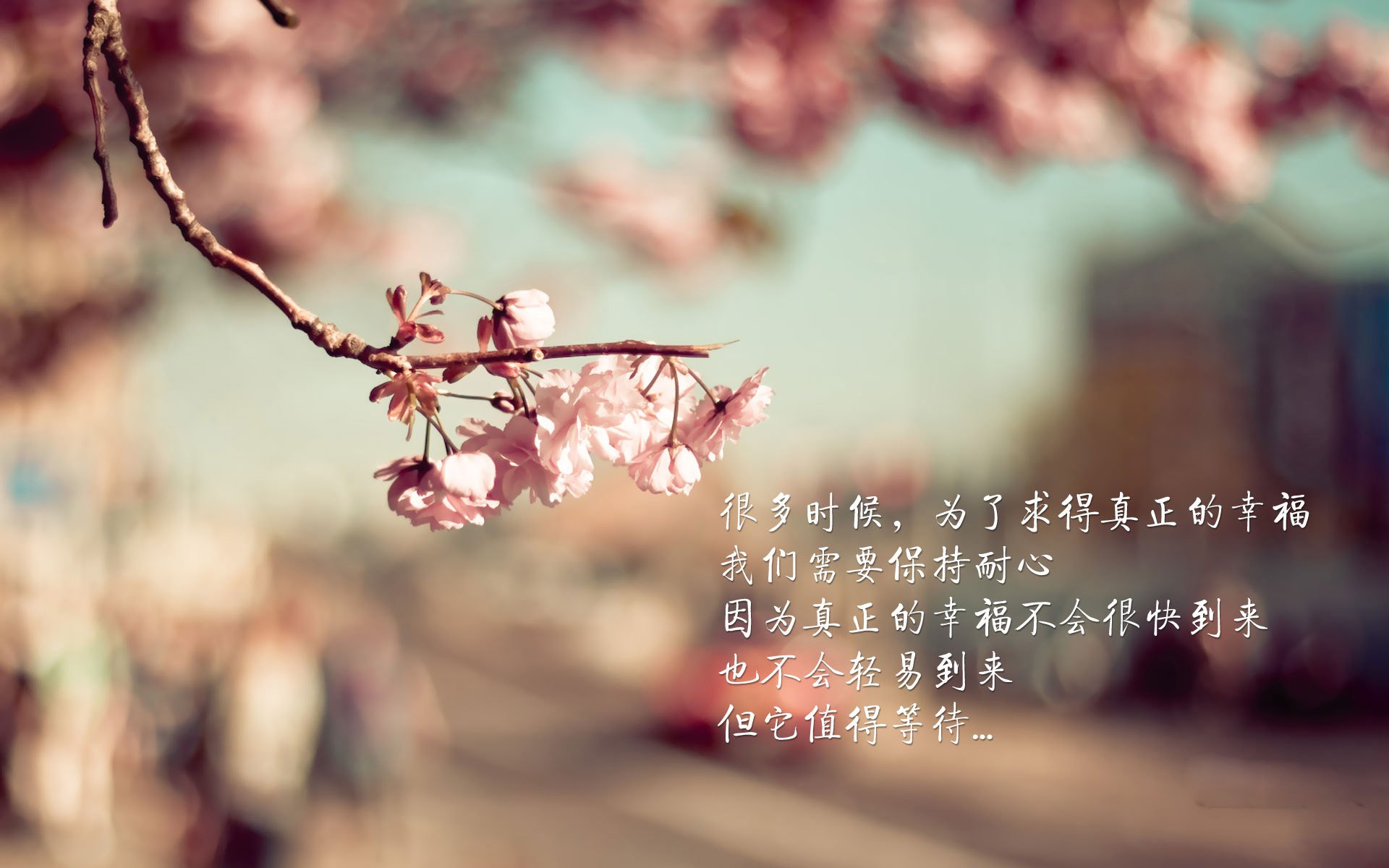 命运交响,当加克波爆发遇见加拿大生死战