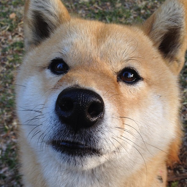 世俱杯参赛资格-上海铁骑踏碎奇才防线,杰伦格林单节19分导演惊天逆转