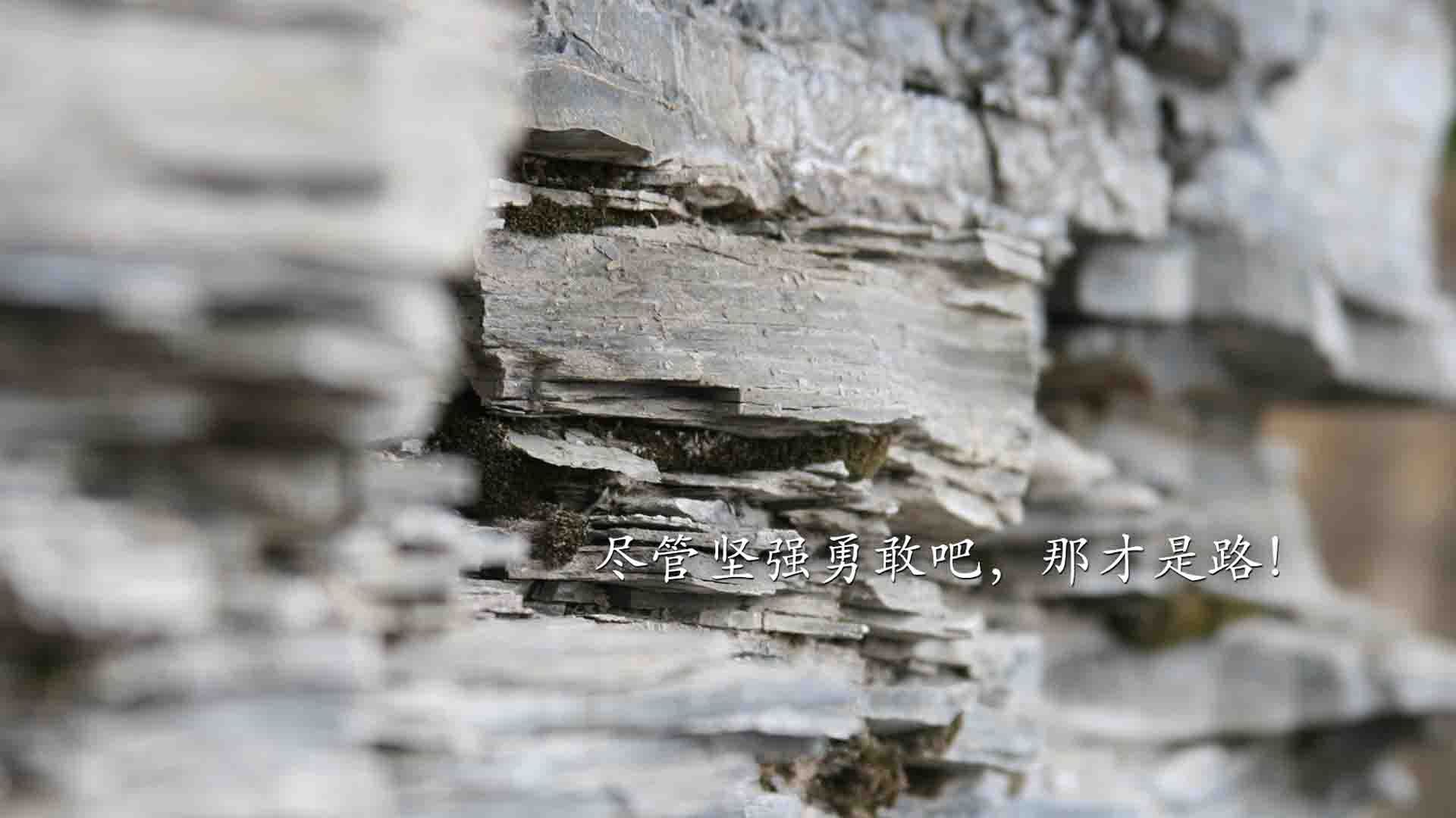 神级拉文!全程高能输出,步行者生死战逆转骑士