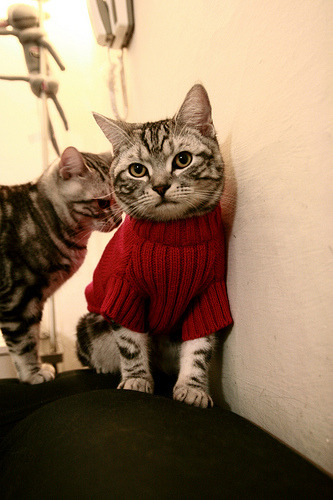 AC米兰一波带走勒沃库森，哈弗茨成为关键先生