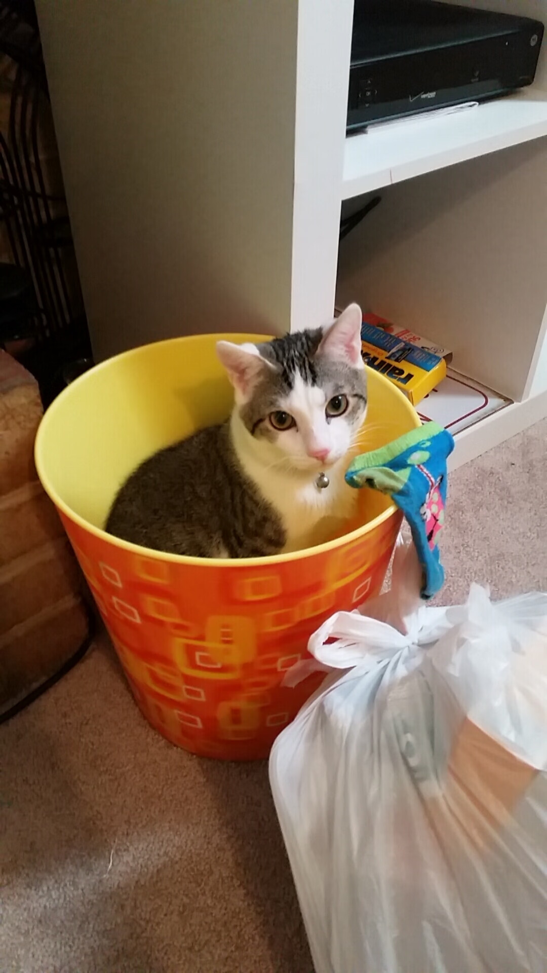 东方新贵对决卫冕之师,莱万单核驱动的杀伤美学