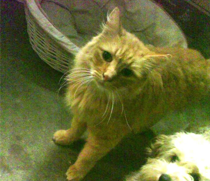 告别蜘蛛侠，米切尔盐湖城最后一舞，砍下41分撕裂绿军铁壁