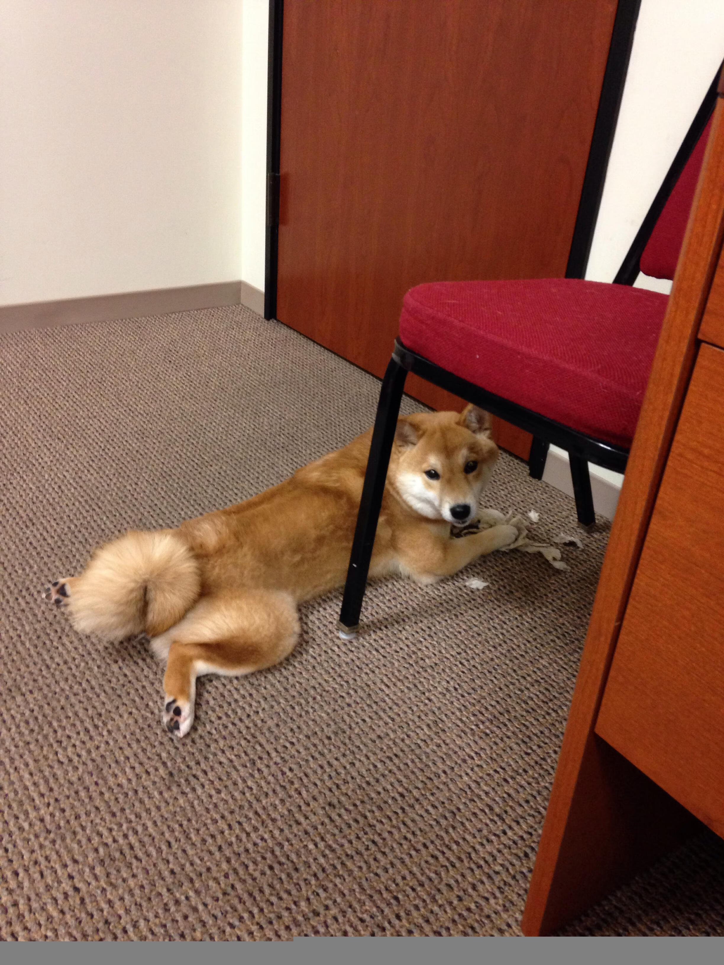 单节风暴，迪巴拉独舞，摩纳哥击沉黄色潜水艇