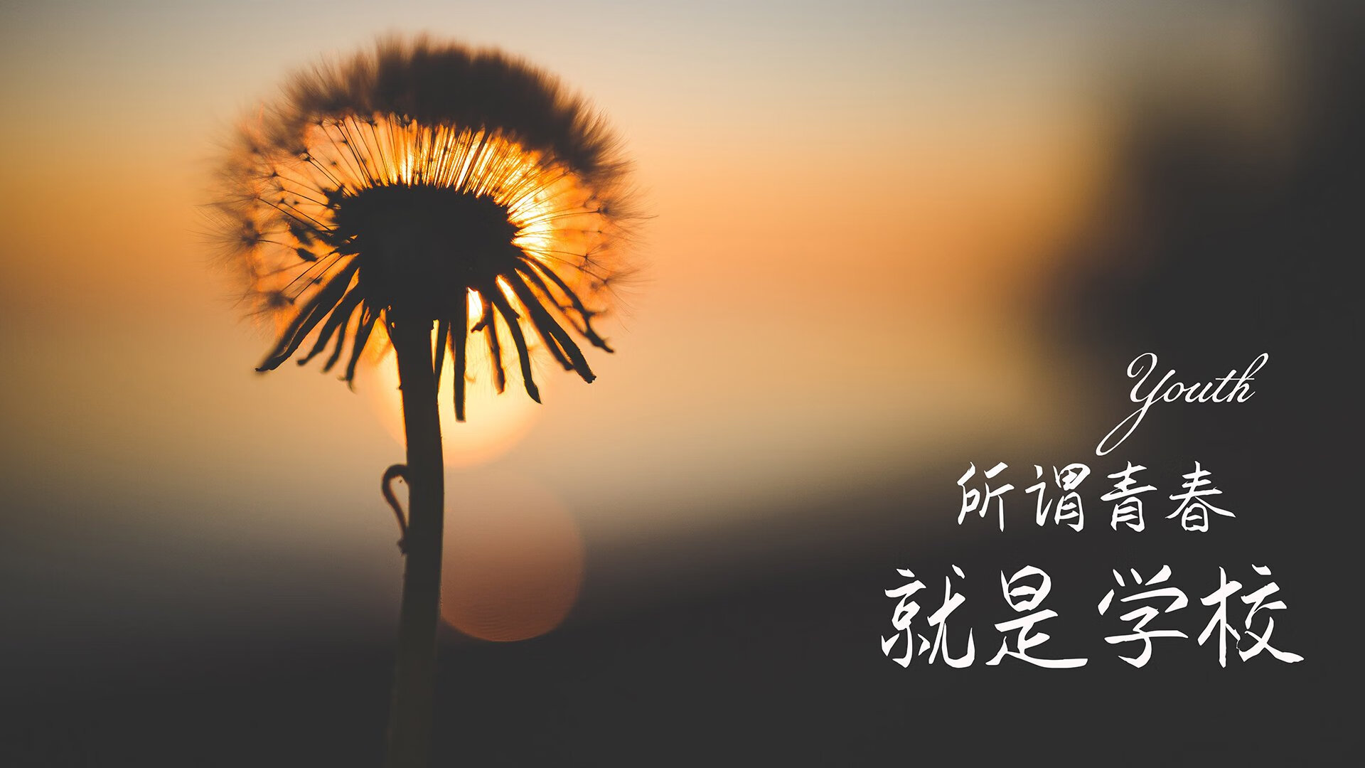 锡安42分导演23分惊天逆转，巨兽觉醒与独行侠的战术豪赌