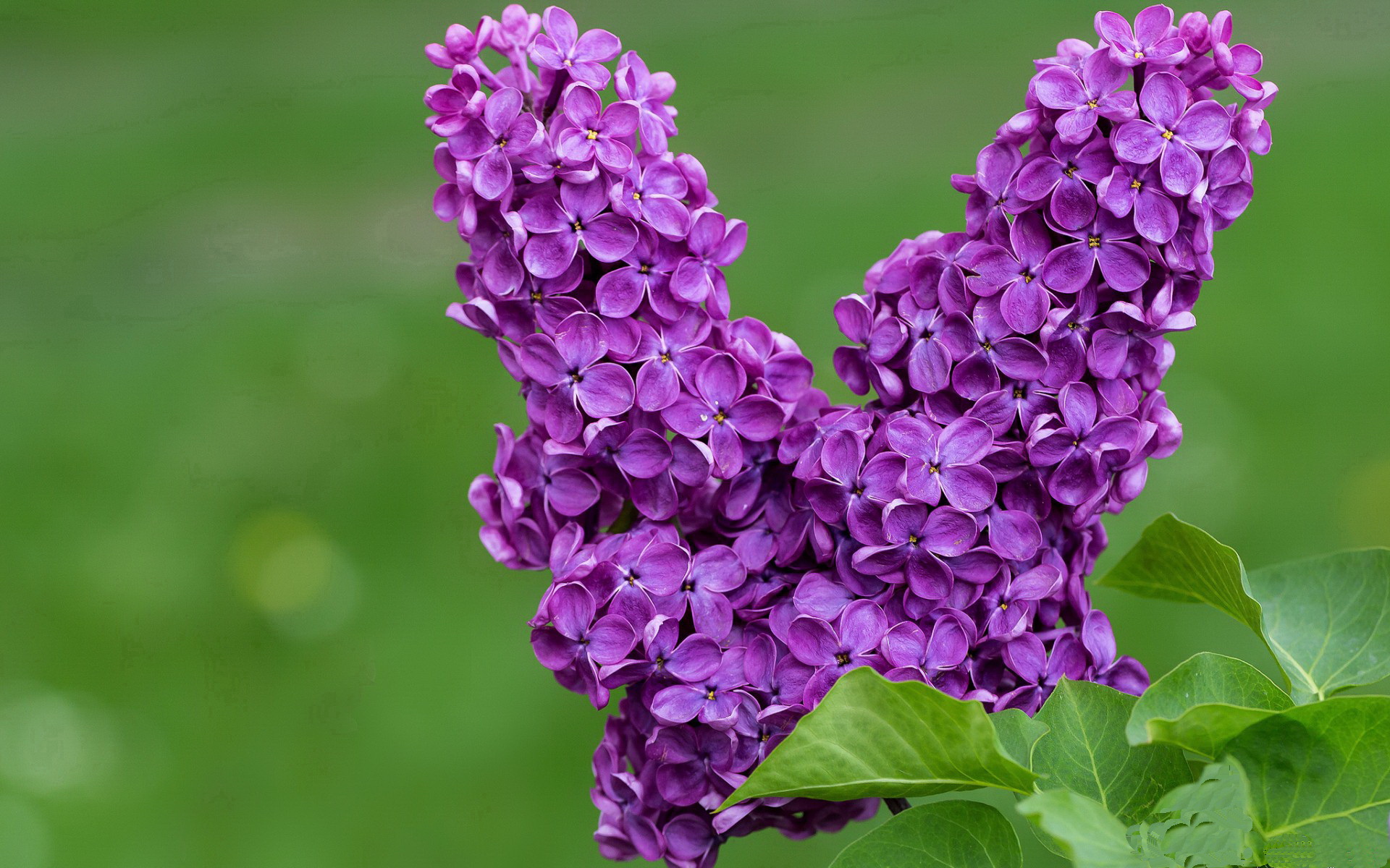 冰与火之歌,浙江末节寒流冻结热火,范弗利特东决封神之战