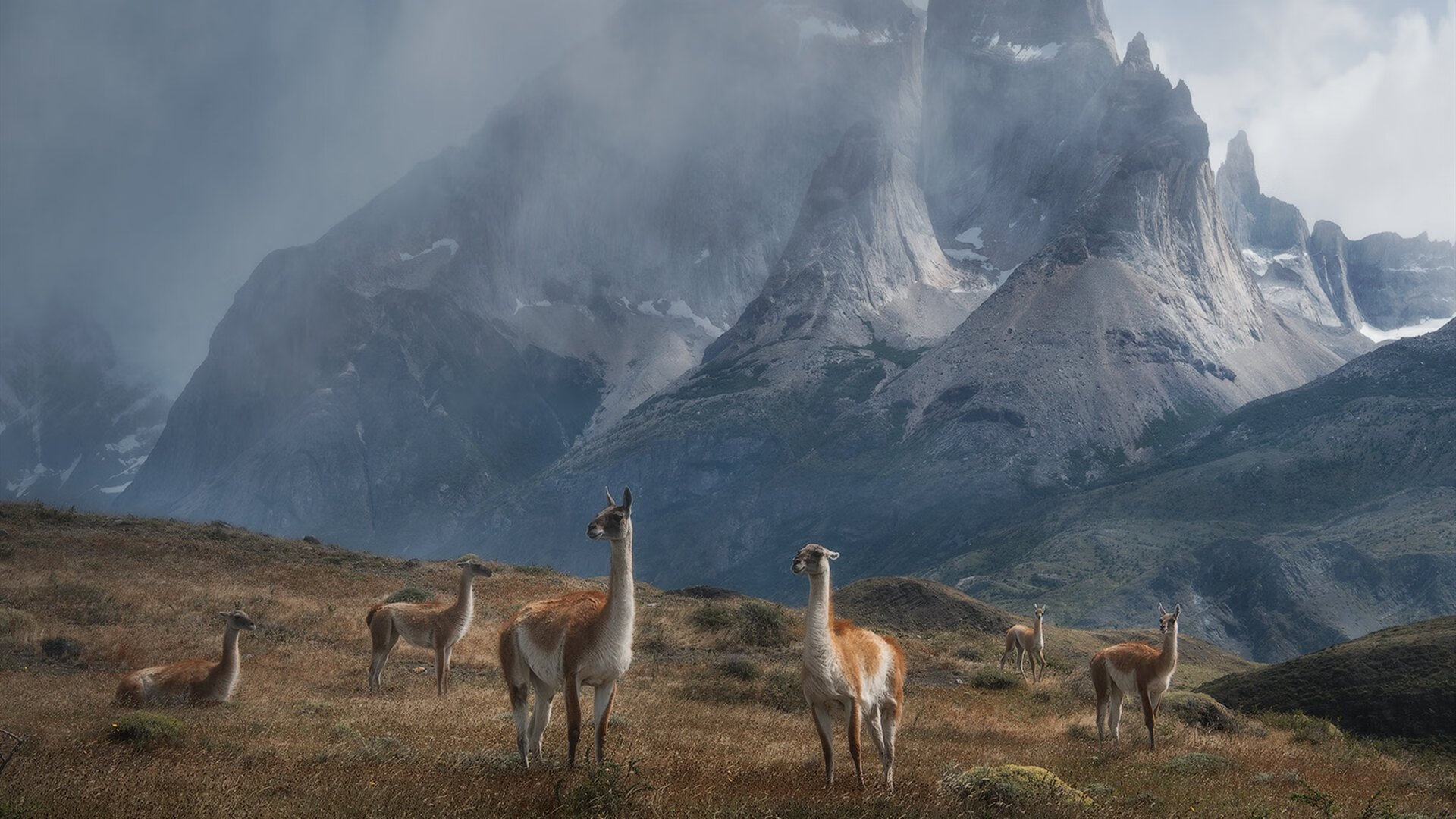 绝地风暴!上海队末节一波流带走骑士,锡安31+12主宰比赛走向