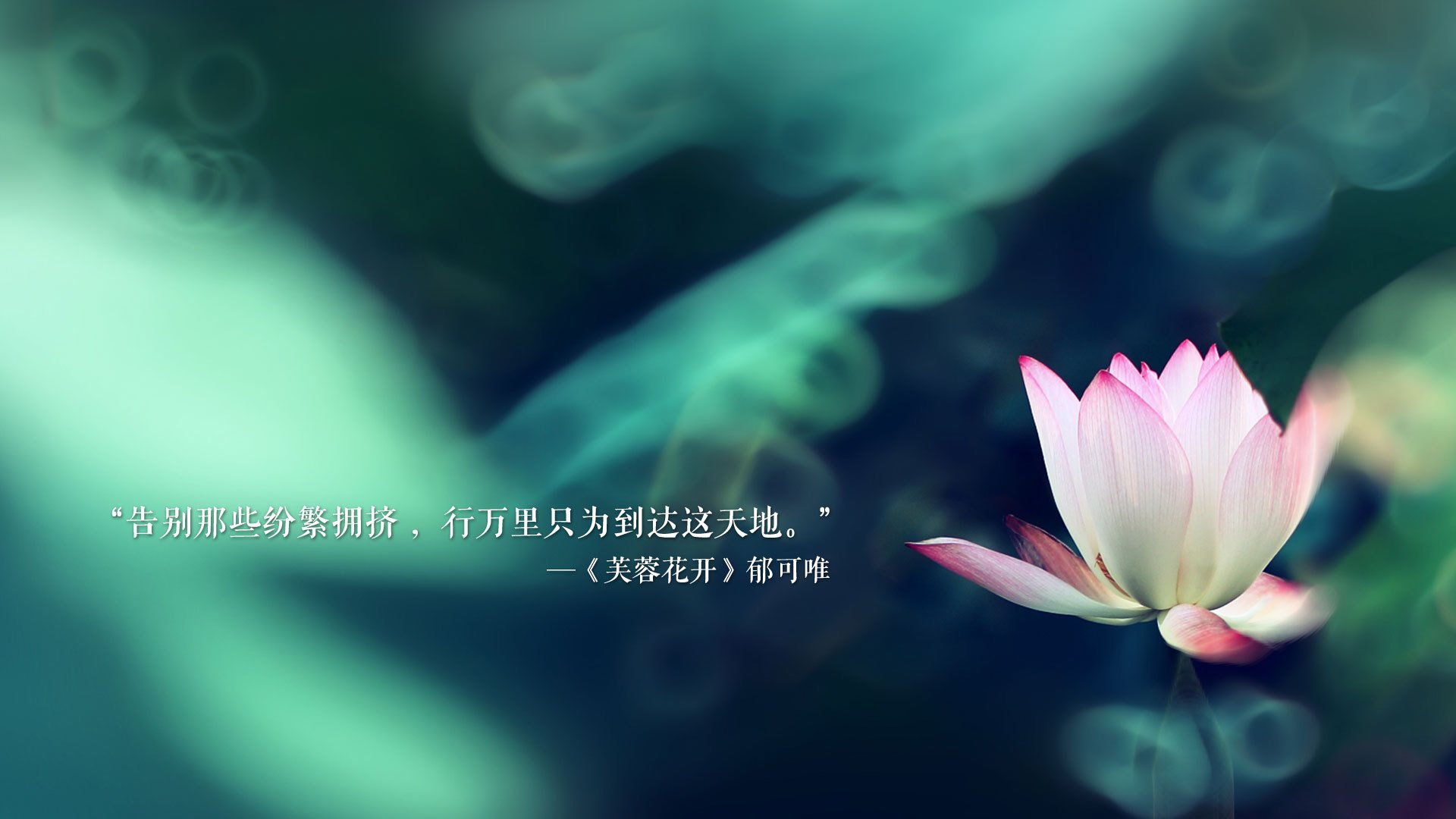 一代中场大师的黄昏独奏，与北欧黑马的凌厉刀锋