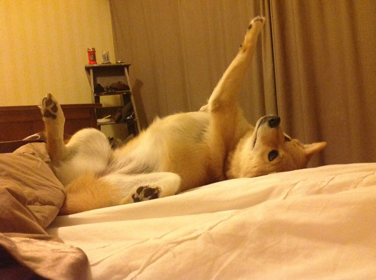 铁壁雄关，德里赫特以一己之力主宰委内瑞拉对阵克罗地亚的关键战役