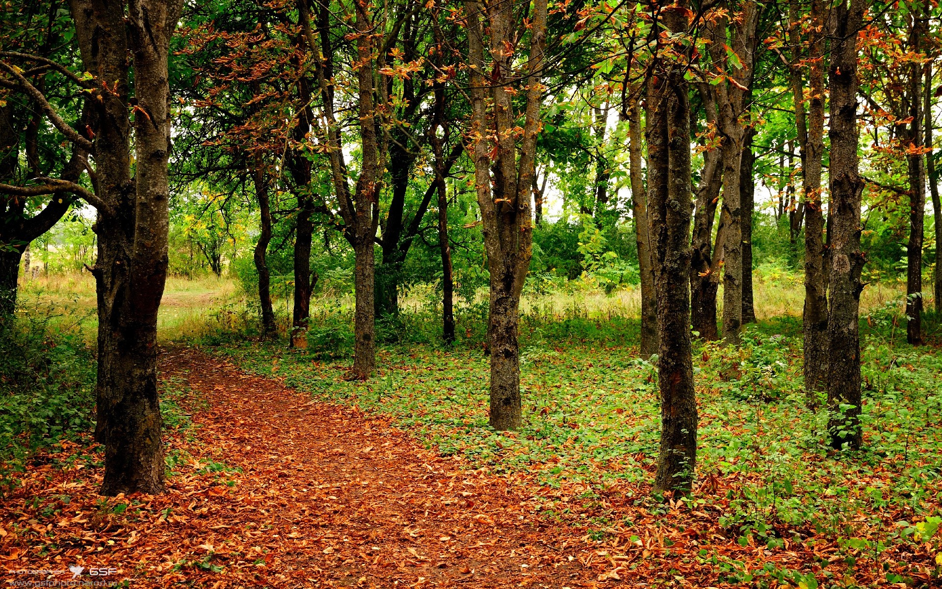 钢铁锋线撕裂防线!伊萨克两射一传导演屠戮,葡萄牙五盾军团碾压制霸太极虎