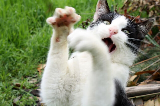 跨越太平洋的奇迹，新疆队压哨击败快船，字母哥完成救赎之战