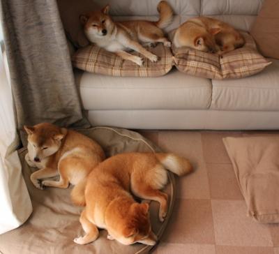 久保建英里程碑之夜，当东方之星升起，安哥拉式闪电战击沉皇马巨舰