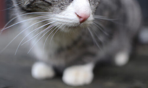 读秒绝杀与雷霆万钧，欧洲纪律与天才灵光的胜利夜