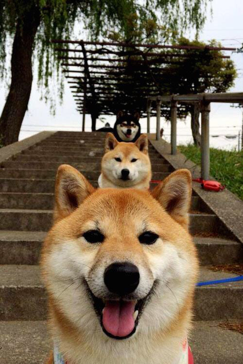 爵士强势压制吉林队，伦纳德关键先生定乾坤