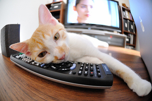 世纪友谊赛，苏亚雷斯一己之力主宰赛场，摩纳哥冲垮顽强新西兰